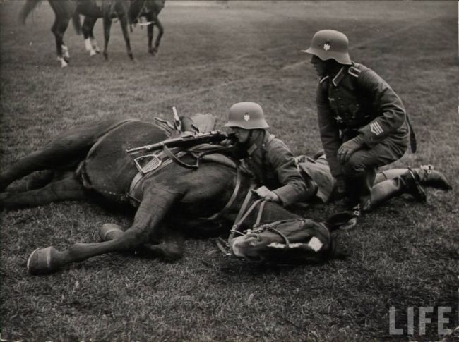 c412_German_soldier_and_horse