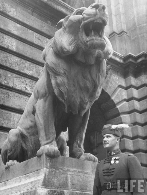 Hungarian Royal Palace Guard