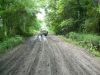 05-25-09_021.jpg