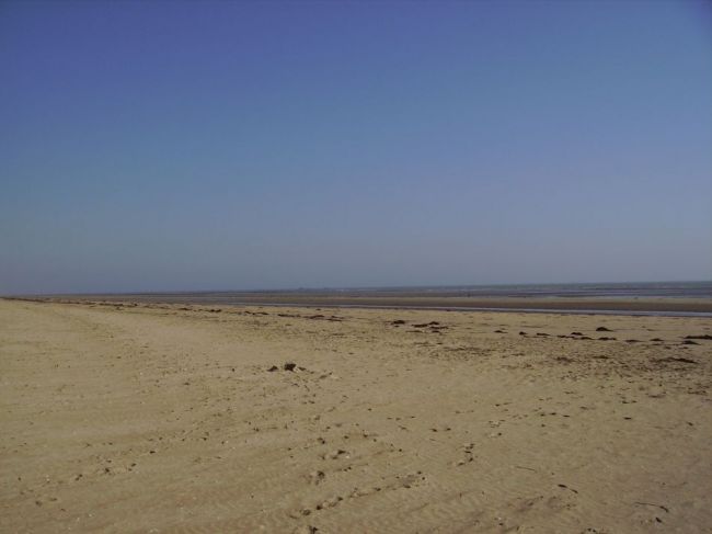 n51