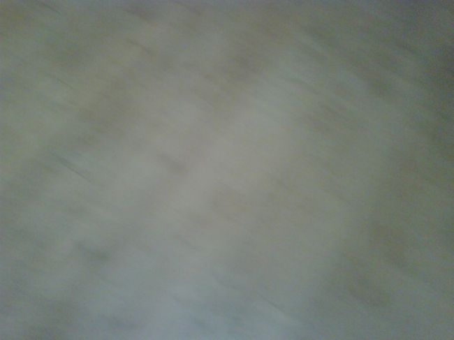 IMG00411-20090608-1643