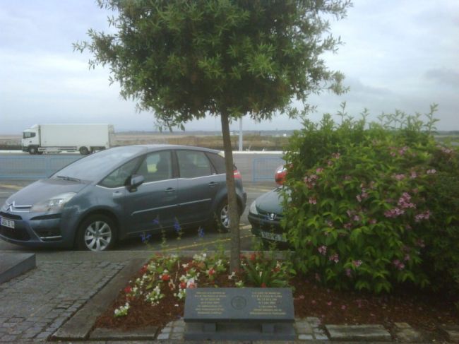 IMG00429-20090609-1617