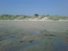 IMG00287-20090531-0850.jpg