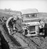 11th_Armoured_Division_digging_out_his_jeep_19_October_1944.jpg