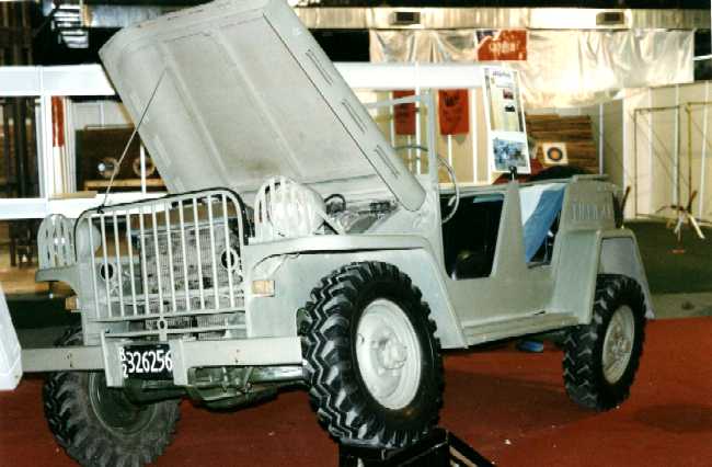 Ã‘andu Jeep