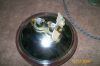 Picture_0244.jpg