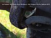 IMG_15192.jpg