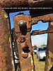 IMG_15274.jpg
