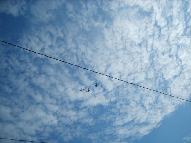 Veterans_Day_2009_068