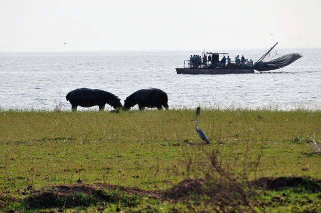 Day 7 - Kariba
