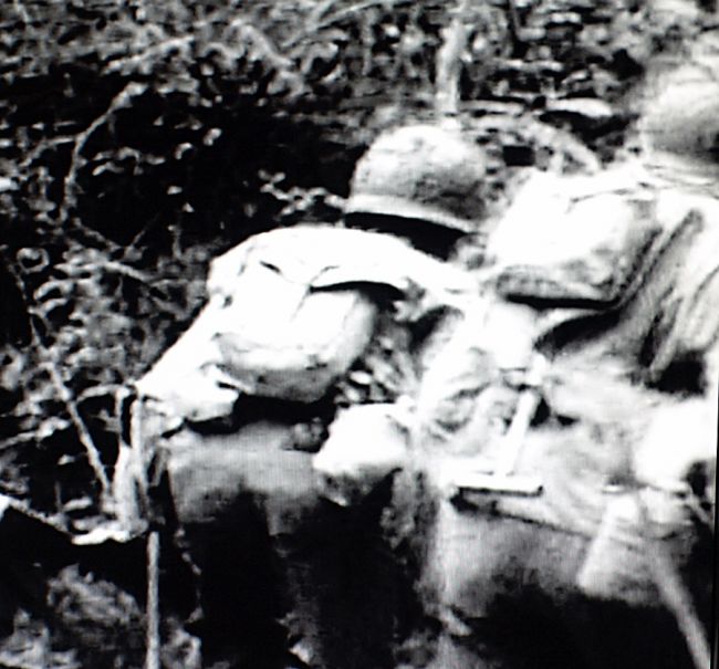 P12553511
