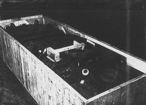 704018_g