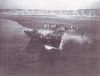 USMC_52052_b.jpg