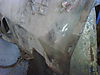IMG00143-20090420-1745.jpg
