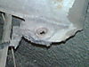 IMG00144-20090420-1745.jpg