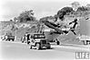 19922ec167a5ad3d_large.jpg