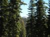 DSCN07181.JPG