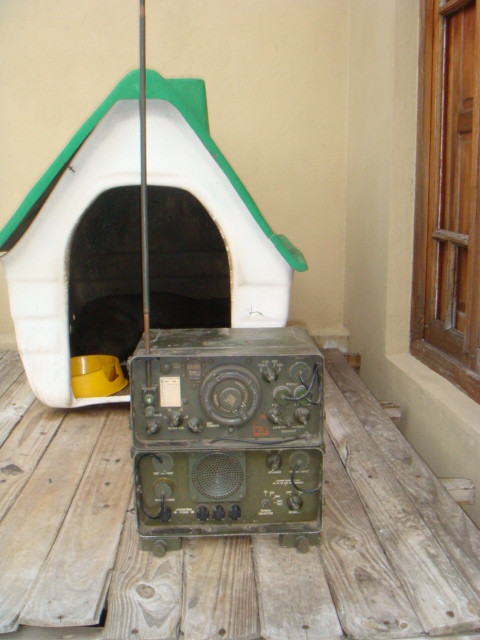 DSC09556