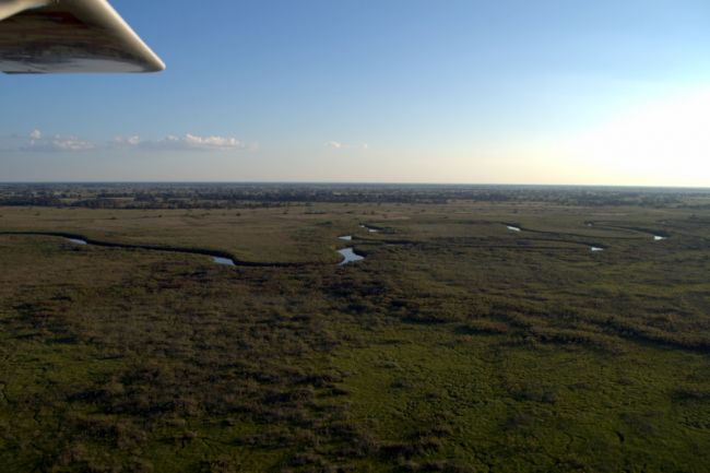 To Maun to Seronga