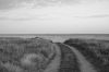 DSC_1086.jpg