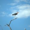 DSC_2702.jpg
