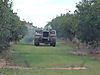 969_First_Test_Drive_e.JPG