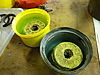 969_Fuel_Filter_discs_in_Vinegar_.JPG