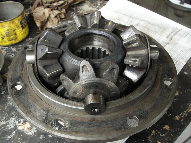 Diff_gears_in_carrier