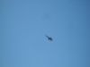 2010_Santa_Rosa_Air_Show_027.JPG