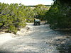10-13-10_079.jpg