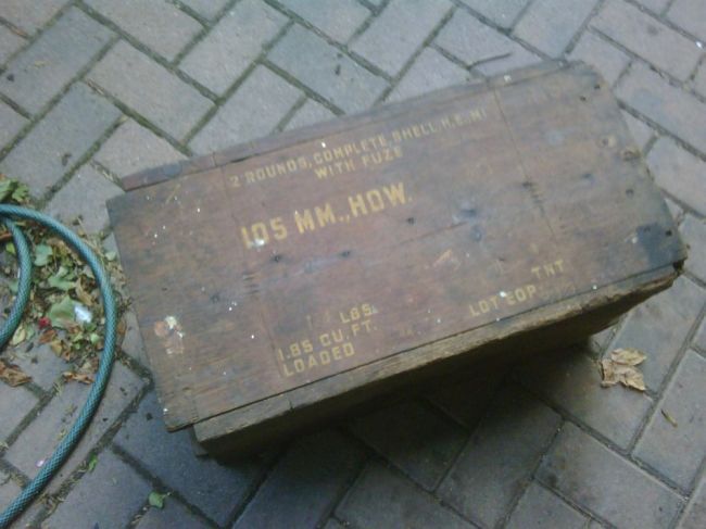 IMG00316-20100830-1850