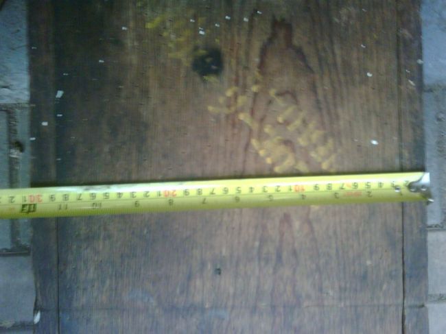 IMG00323-20100830-1853