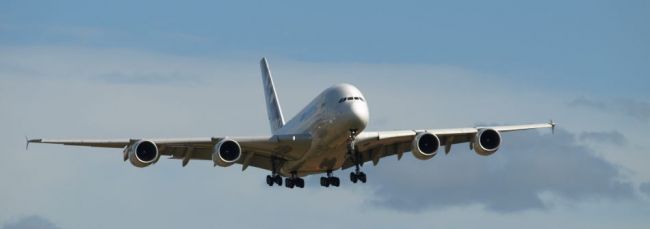 P9187347