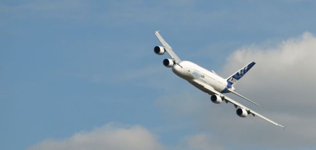 P9187354