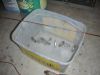 DSCN4661.jpg