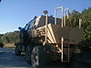 PB130019.JPG