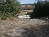 PB140053.JPG