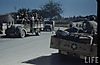 7908ccf6f81d9ec1_large.jpg