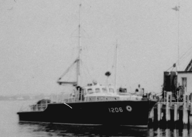 1206_1954_