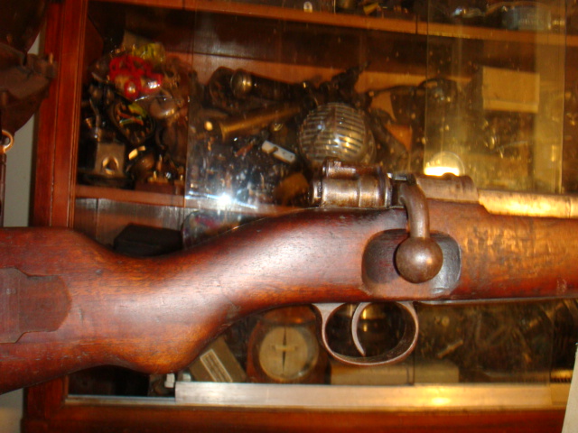 DSC017481