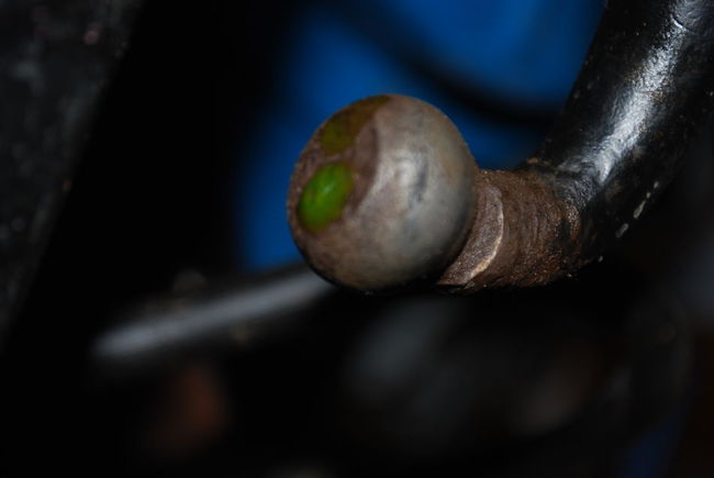 DSC_0530