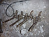 P1020133.JPG