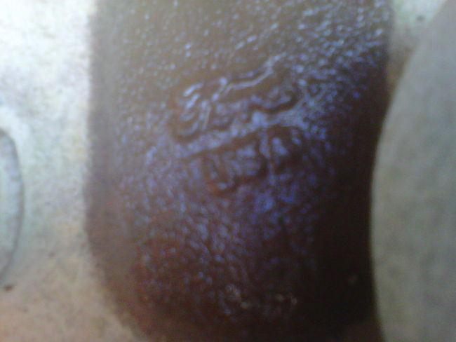IMG00578-20110926-1701
