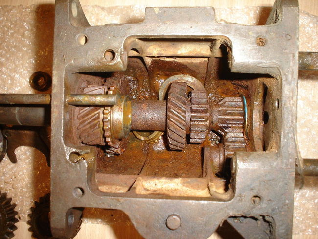 DSC019151