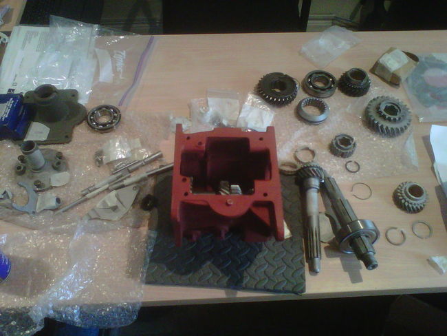 IMG00469-20110719-1142