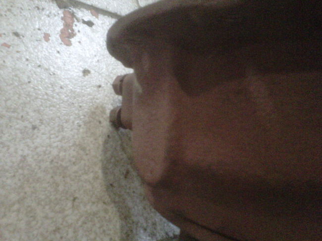 IMG00649-20111015-1126