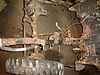 DSC017741.JPG