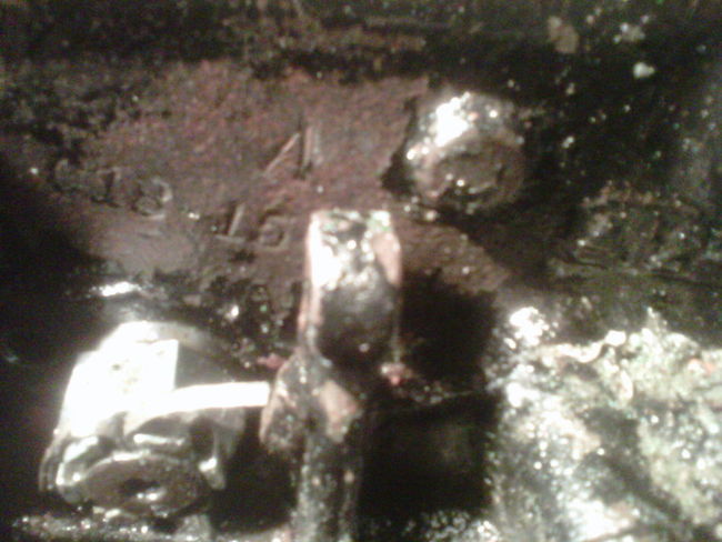 IMG00217-20110529-1630