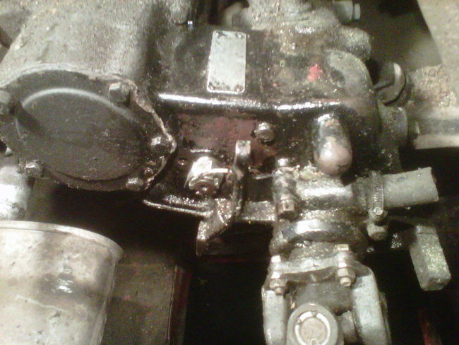 IMG00219-20110529-1634