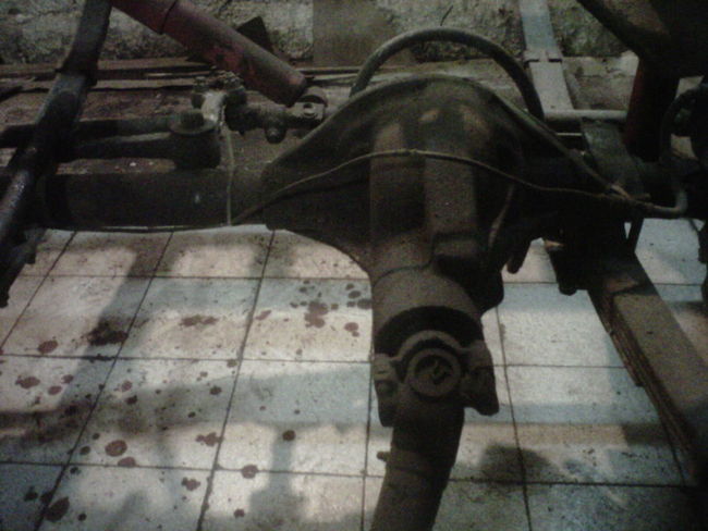 IMG00359-20110624-1415